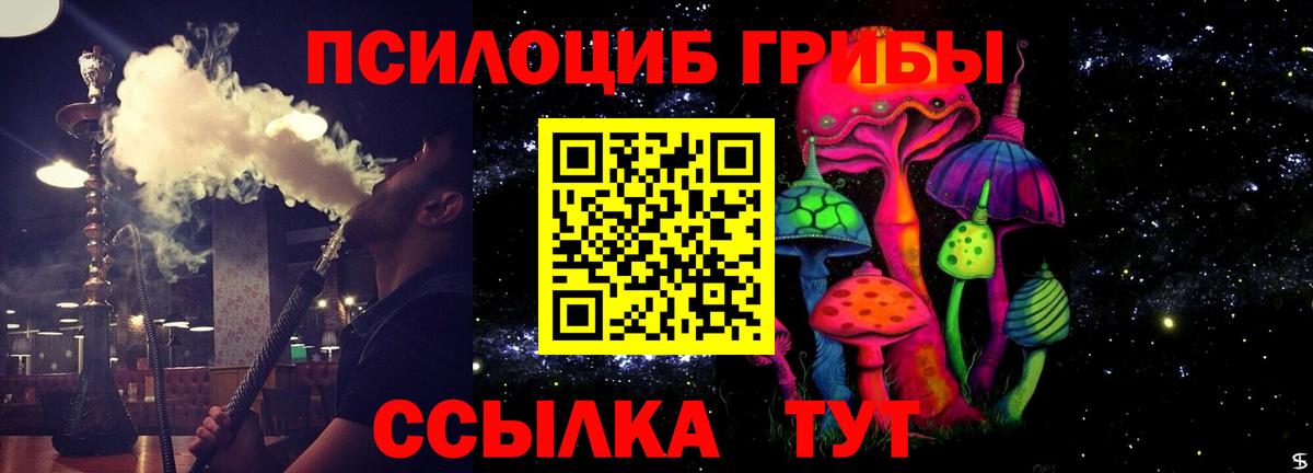 Галлюциногенные грибы Psilocybe Анапа